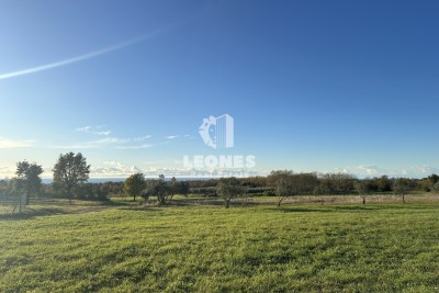 Regelmäßiges landwirtschaftliches Grundstück mit Blick auf das Meer in Kaštelir